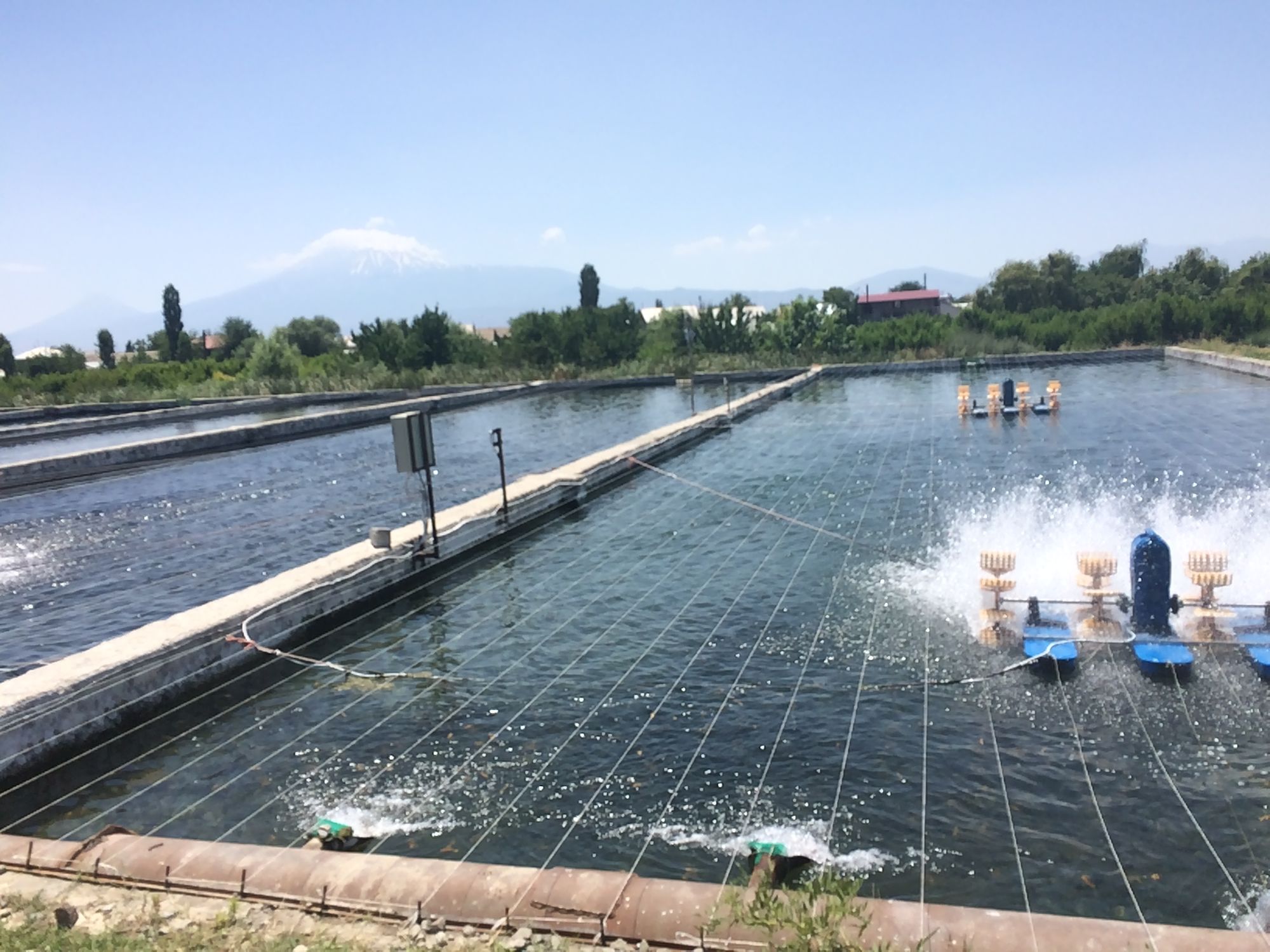 Fish farm ponds in the Ararat valley with Mount Ararat behind