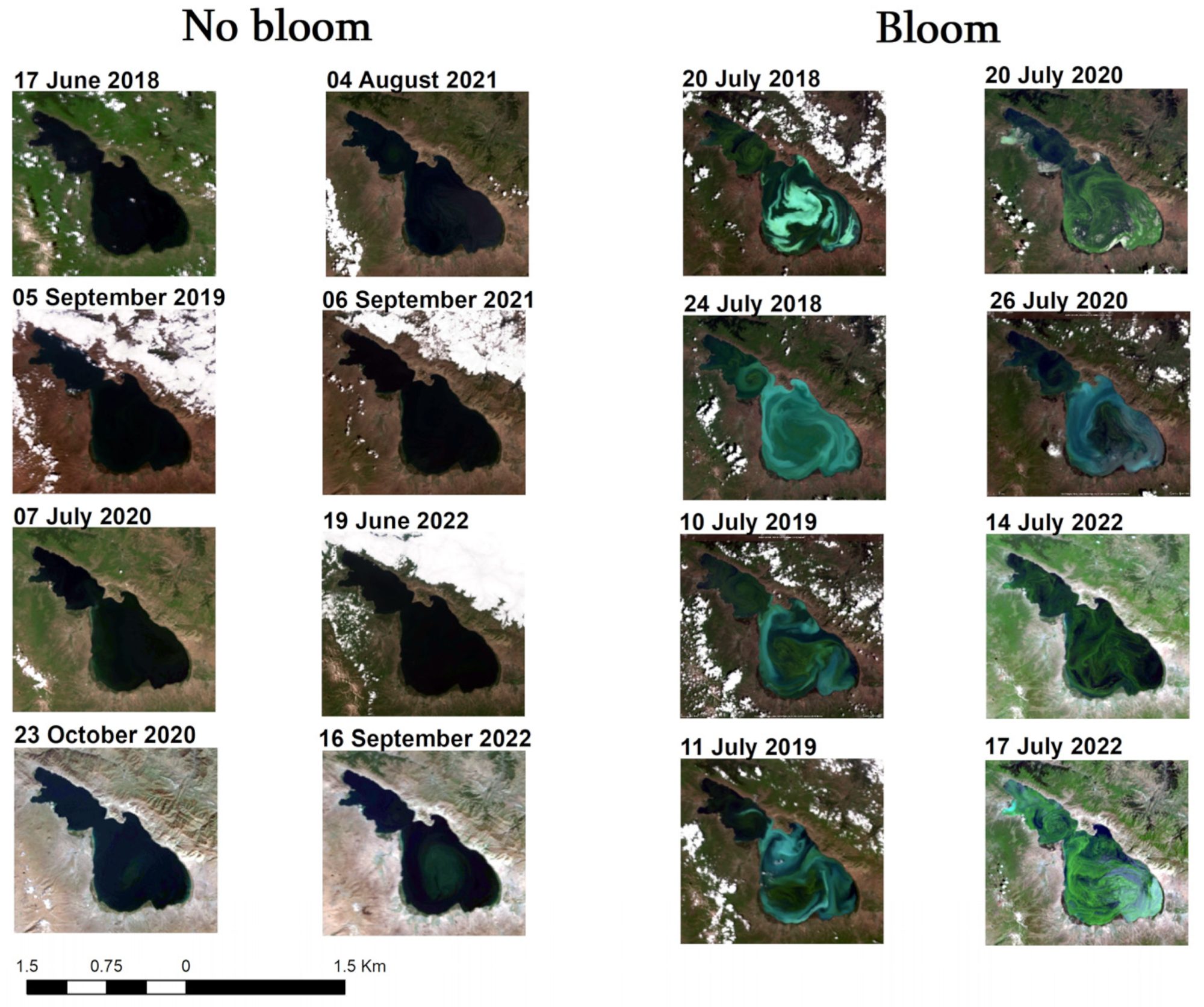 Sentinel-3 scenes of Lake Sevan with and without an algal bloom